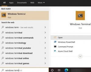 3 cách cài đặt Windows Terminal trên Windows 10