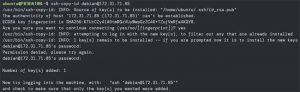 Cách thiết lập và sử dụng SSH trong Linux