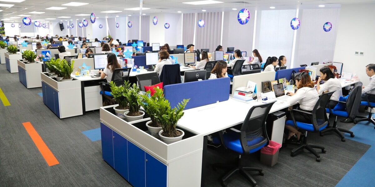 Cách Kiểm Soát Mạng Công Ty Hoạt Động