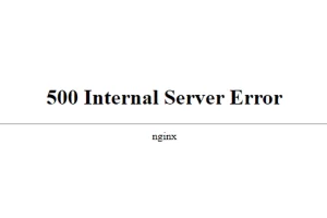 Đâu Là Nguyên Nhân Dẫn Đến Mã Lỗi Internal Server Error?